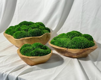 Live Edge Walnut Wood Moss Bowl: Zen Garden Centerpiece