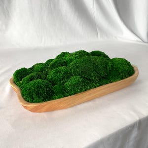 Live Edge Natürliche Holz Moosschale | Organic Decor Dekor 11-14 "- Herzstück - Feiertags-Haus-Geschenk - Weihnachtsgeschenk