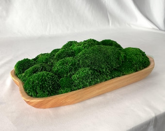 Live Edge Wood Moss Bowl: Natural Centerpiece, Organic Decor
