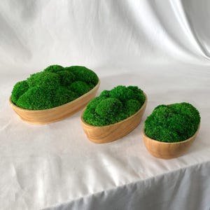 Handgefertigte Moosschale - Naturholz Boot Schiff | 6-10 "Zen Tisch Dekor - Urlaub Geschenk - Weihnachtsgeschenk
