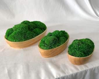 Handcrafted Moss Bowl: Natural Wood Boat Vessel, Zen Table Decor
