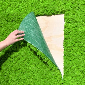 Reindeer Moss Wall Panels | Fire-Rated Class A | Acoustic Panels | Self-Adhesive Moss Tiles | Maintenance-Free Moss Decor