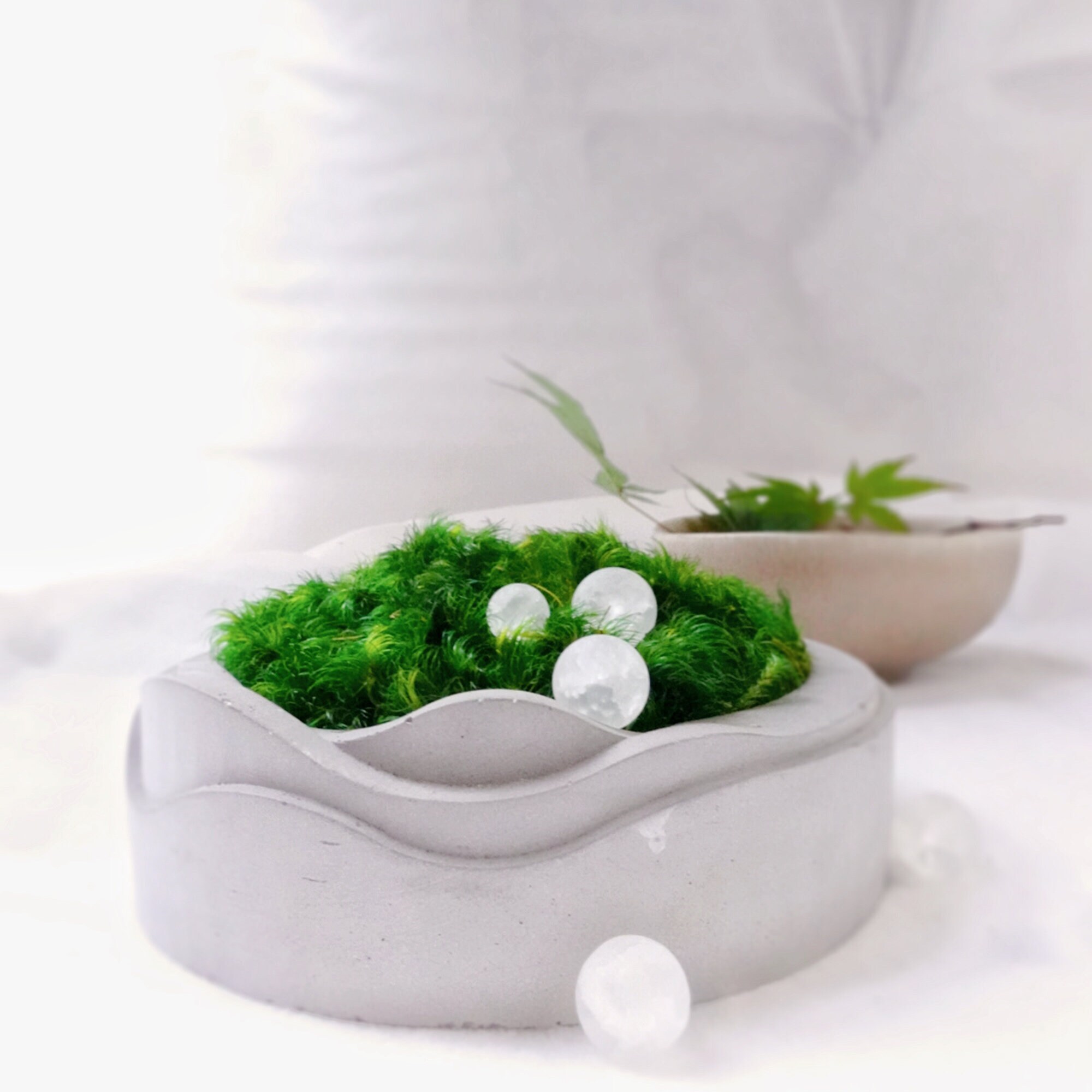 Gift Preserved Moss Bowl Moss Decor Home Gift Concrete Etsy
