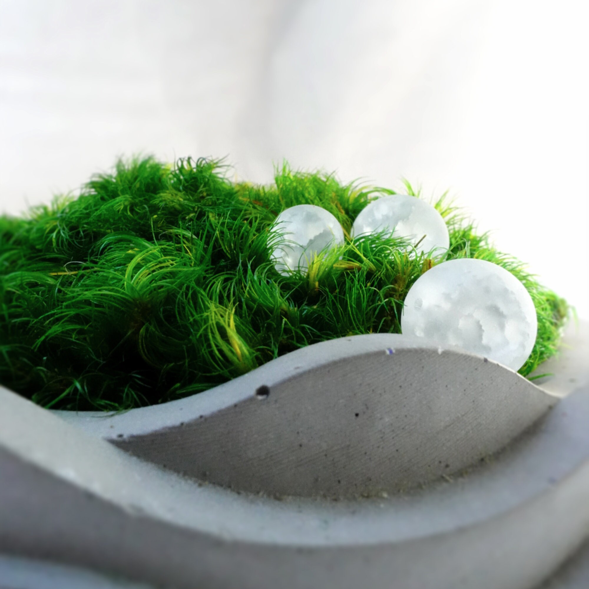 Gift Preserved Moss Bowl Moss Decor Home Gift Concrete Etsy