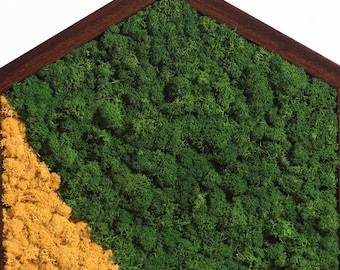 Hexagon Muti-colored Modular Moss Wall Art Sets