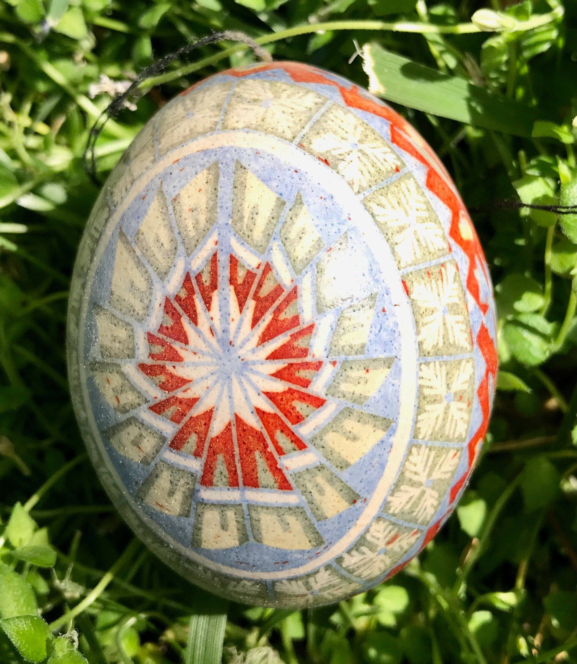 Pastel Chicken Egg 2 Etsy