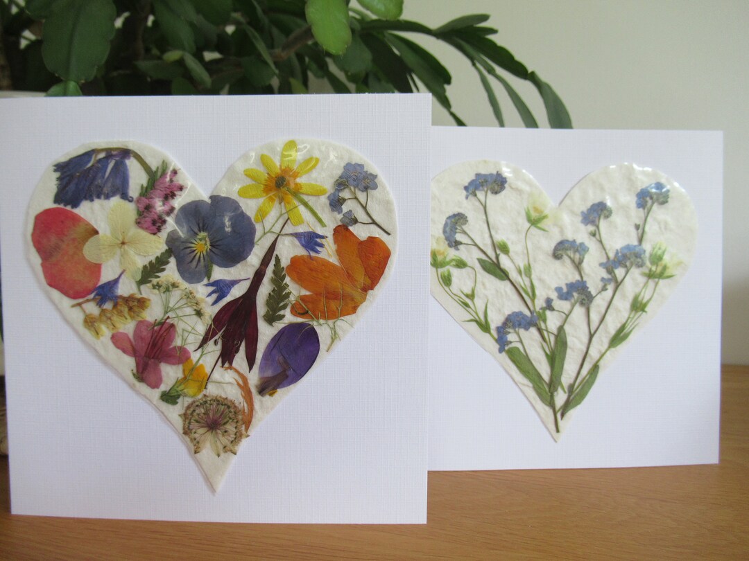 Pressed Flower Card REAL FLOWER Card Handmade Blank Greetings Etsy UK