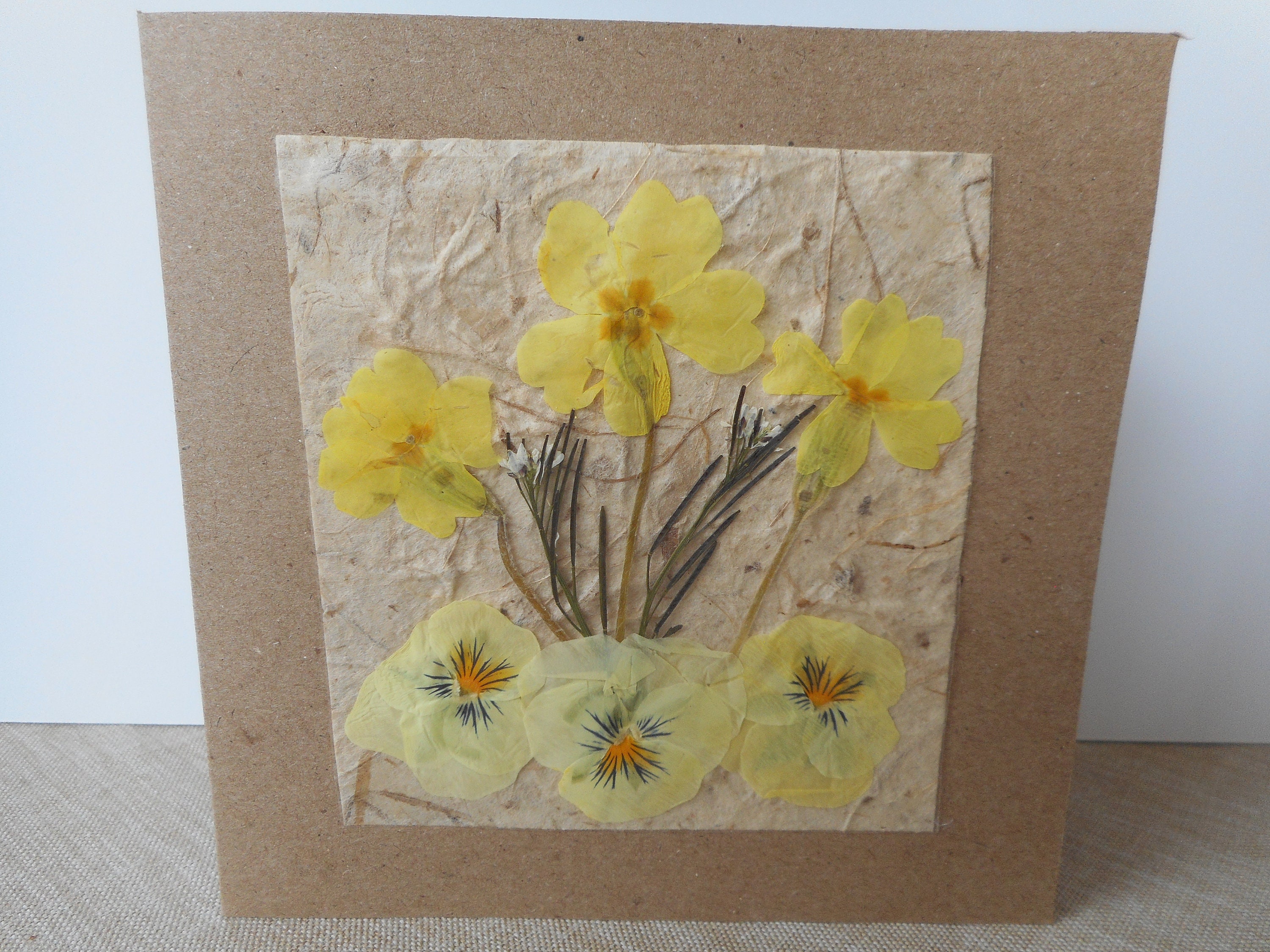 Pressed Flower cards x2 real flowers Hand made suitable for Etsy