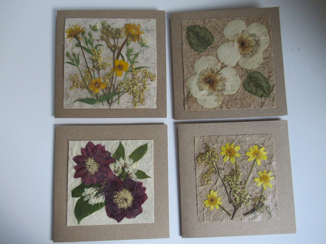 Pressed Flower Card Real Flower Card Handmade Dried Flower - Etsy