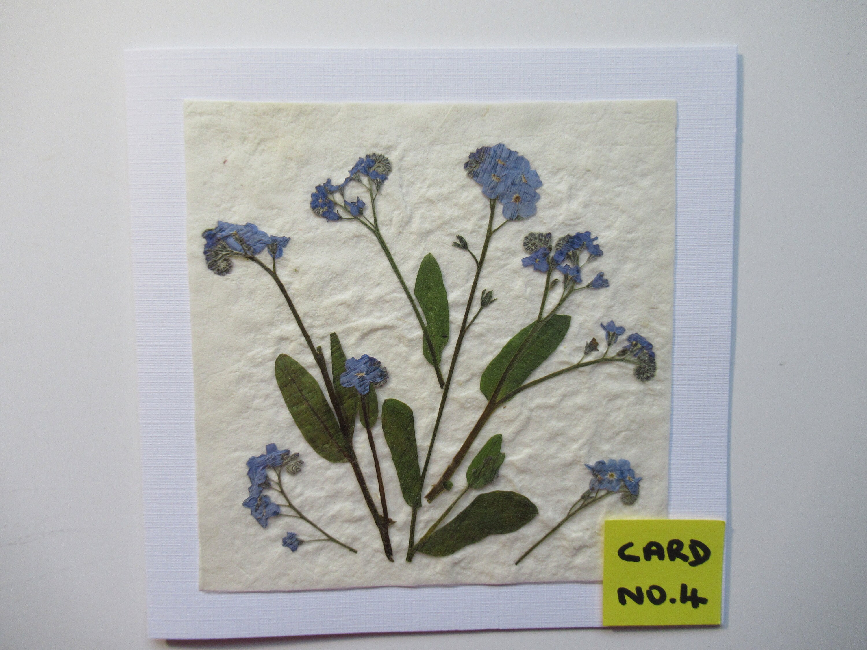 Pressed Flower Card REAL Flower Card Handmade Blank Card Etsy UK