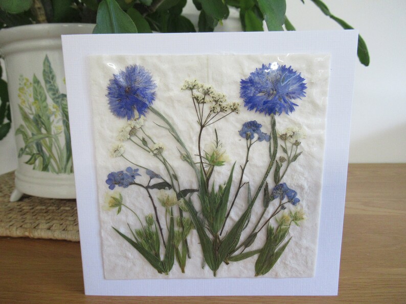 Pressed Flower Card REAL Flower Card Handmade Blank Card Etsy UK