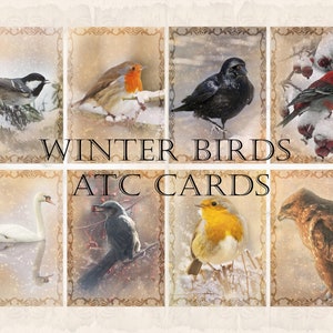 Winter Vögel ATC Karten, Junk Journal Karten: Digitale und druckbare Ephemera Karten, Set von 28 Winter Vögel für Weihnachten, Sofortiger Download