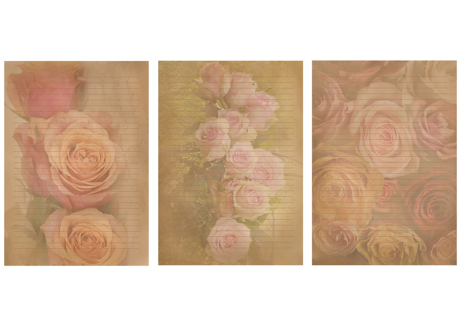 Retro Rose Paper Sheets With Lines, Digital &amp; Printable Love Letter ...