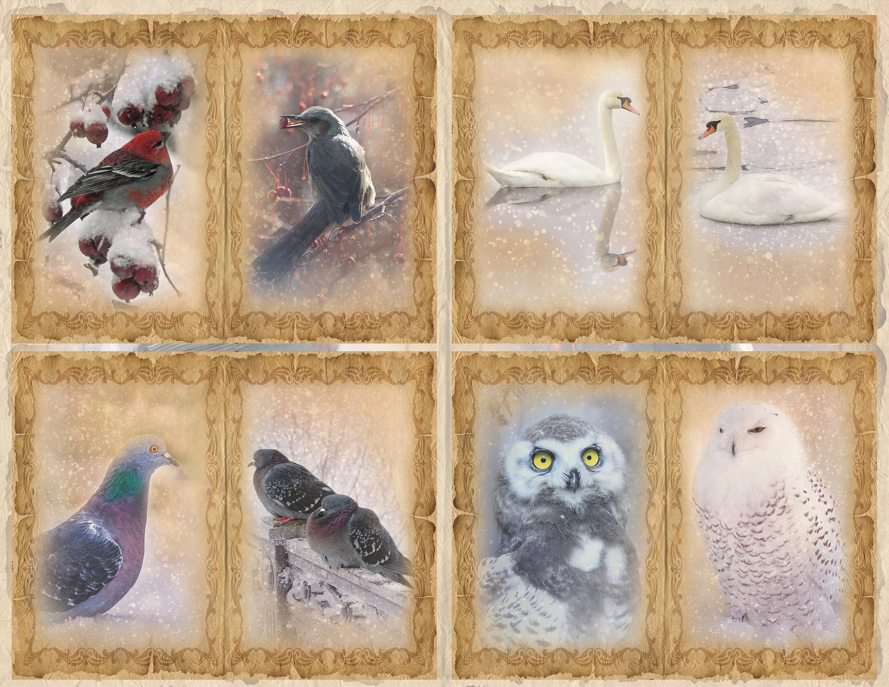 Winter Birds Junk Journal Pages, Birds Digital Printable Papers for ...