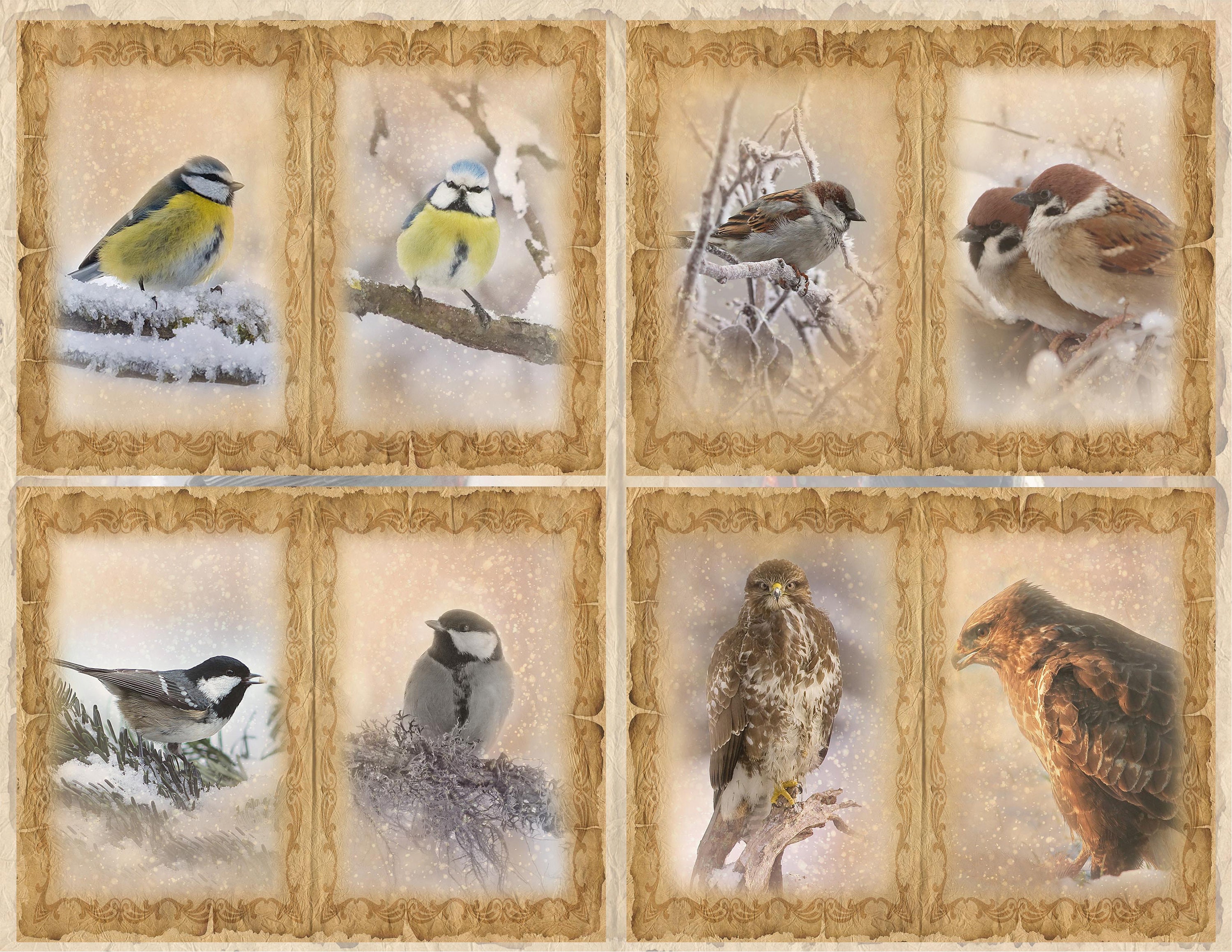 Winter Birds Junk Journal Pages, Birds Digital Printable Papers for ...