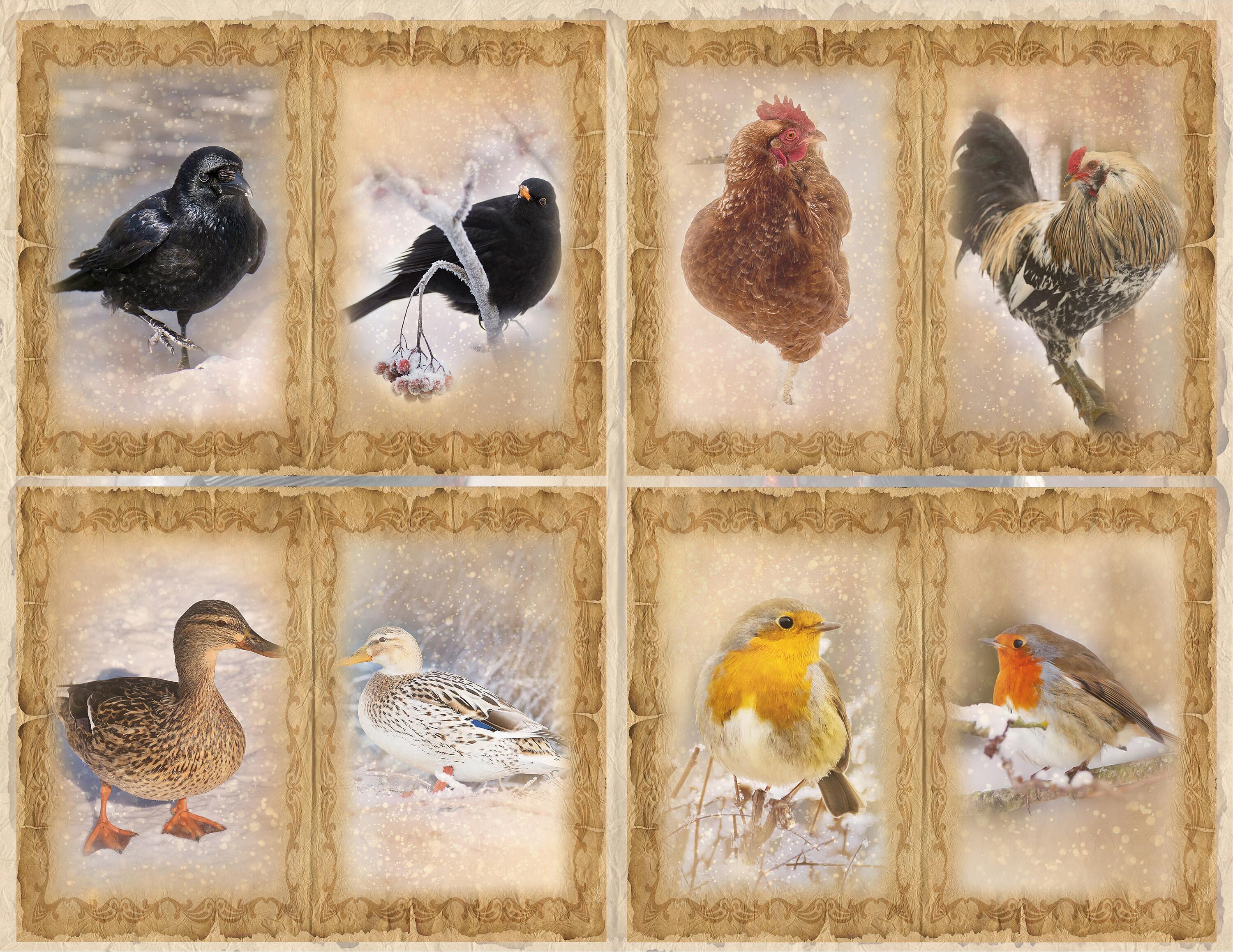 Winter Birds Junk Journal Pages, Birds Digital Printable Papers for ...
