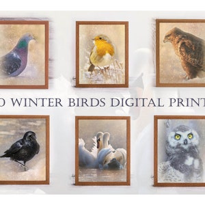 Winter Birds Digital Prints, 30 Printable Birds Images, Winter Birds Wall Decor, Home Decoration, Scrapbook Papers, Instant Download