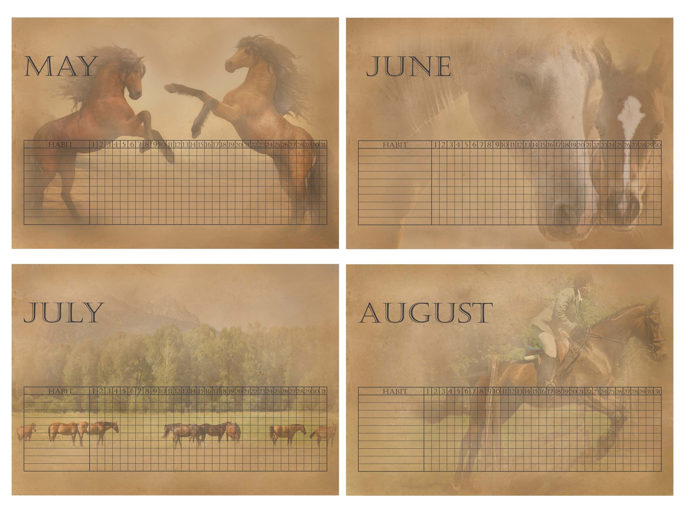 Daily Habit Tracker With Horses, 12 Month Printable Routine Planner ...