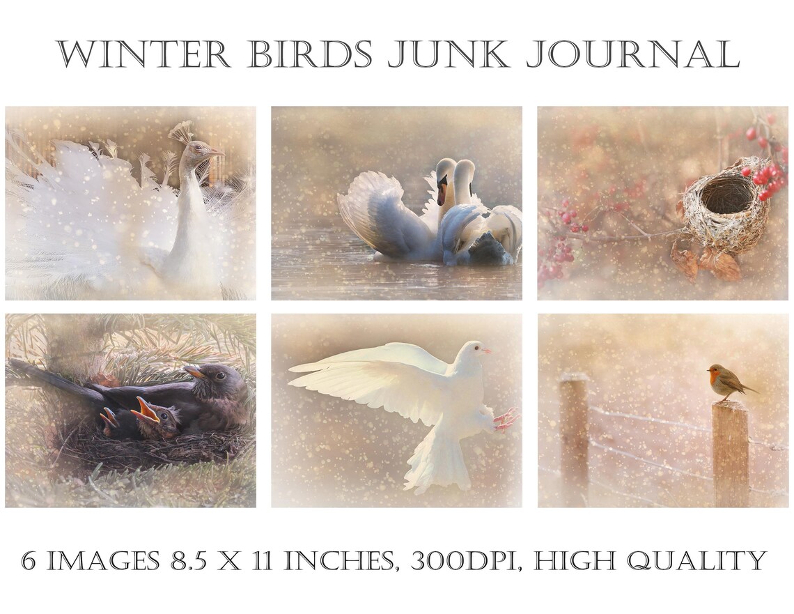 Winter Birds Junk Journal Pages, Birds Digital Printable Papers for ...