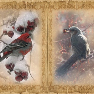 Winter Vögel Junk Journal Seiten, Vögel digital druckbare Papiere für Junk Journalling und Scrapbooking, Weihnachten Geschenk, Sofort Download
