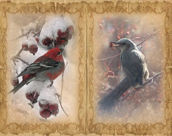 Winter Birds Junk Journal Pages, Birds Digital Printable Papers for Junk Journalling and Scrapbooking, Christmas Gift, Instant Download
