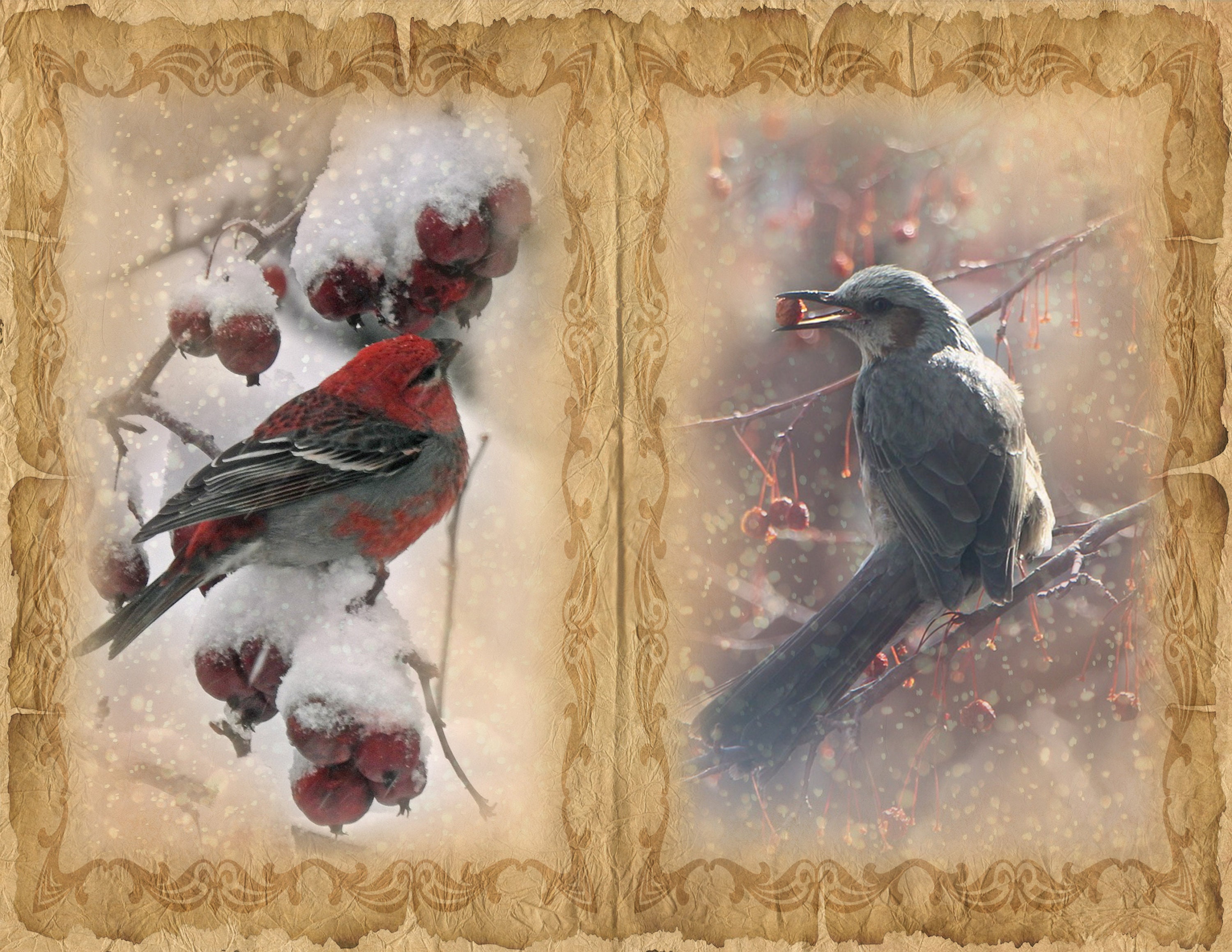 Winter Birds Junk Journal Pages, Birds Digital Printable Papers for ...