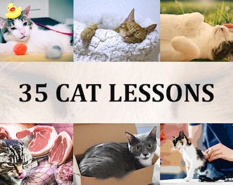 35 Cat Lessons, PDF Educational Book about Taking Care of a New Kitten, Short Feline Guidebook for Kids and New Kitty Owners or Cat Lovers