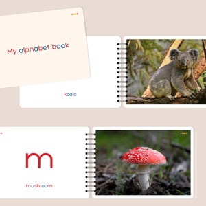 ALPHABET BOOK for kids, Beginning sounds printable, Montessori Inicial sounds booklet, Phonics Activity, Letter Sounds Picture Matching