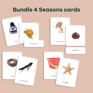 May include: A set of 10 flash cards featuring illustrations of objects associated with each of the four seasons. The cards are white with colorful illustrations and text in Portuguese. The illustrations include a hat, tangerine, mushroom, chestnut, nest, swallow, bucket, and starfish.