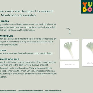 May include: Two Montessori flash cards with images of leeks. The cards are white with a light gray background. The text on the cards reads "alho-franc&eacute;s".