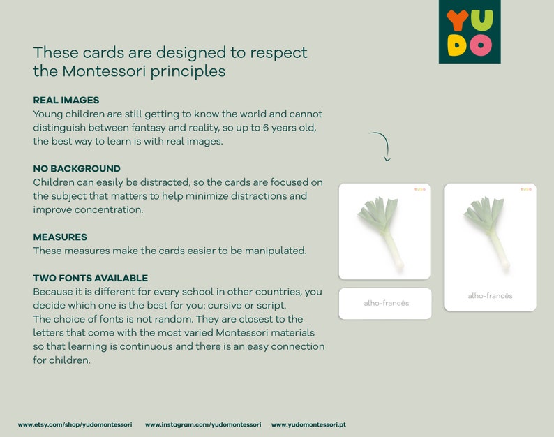 May include: Two Montessori flash cards with images of leeks. The cards are white with a light gray background. The text on the cards reads "alho-franc&eacute;s".