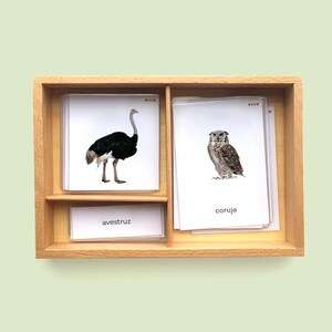 Cartes de langue BIRDS pour les enfants, outil éducatif Montessori, jeux de cartes de vocabulaire, cartes illustrées, cadeau pour le calendrier de l'avent, étude de l'unité Nature