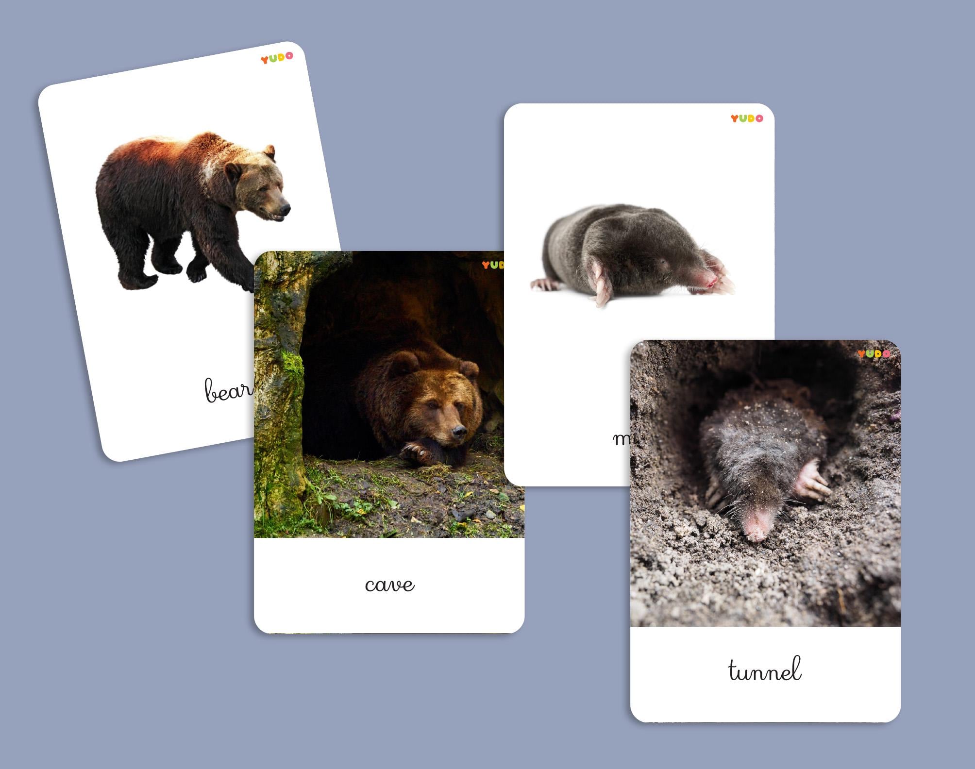 28 Montessori Animal Homes 3 Part Cards for Kids, Animals and Their ...