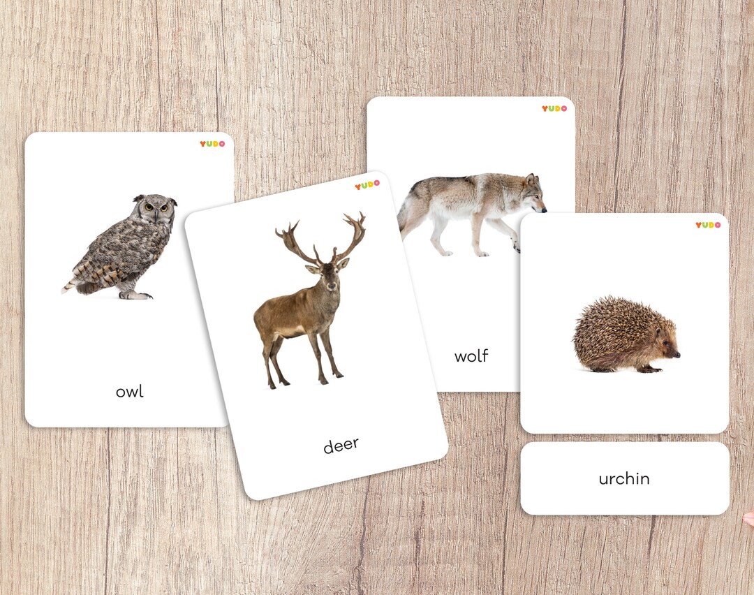 FOREST ANIMALS Montessori Cards, Nomenclature Cards for Toddlers, 3 to ...