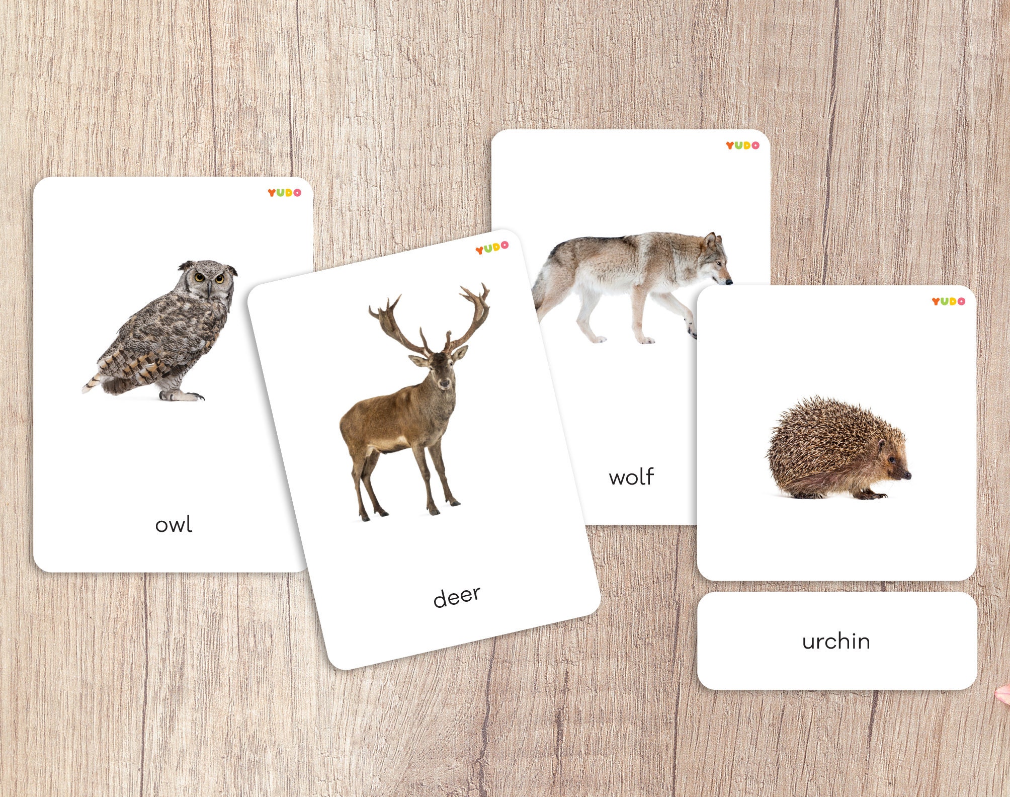 FOREST ANIMALS Montessori Cards, Nomenclature Cards for Toddlers, 3 to ...