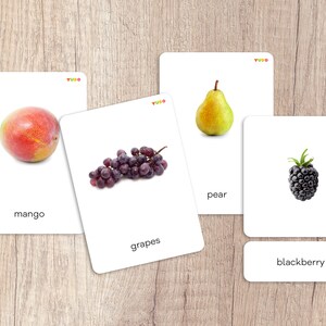 FRUITS language cards, Nomenclature cards, Montessori classified cards, expand vocabulary, enrich language, Learning cards for toddlers