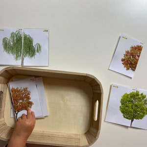 Actividad de cartas de combinación de simetría de árboles para niños, rompecabezas de simetría botánica para niños en edad preescolar, juego de cartas de combinación de naturaleza para niños pequeños
