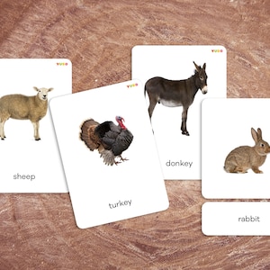 ANIMALI DA FATTORIA carte in tre parti, Schede di nomenclatura, Materiale didattico per la scuola materna, Set di animali, Tema zoologia, Montessori a casa