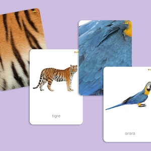 Animal Pattern Matching Printable Cards for Kids, Zoo Animals Details Matching, Animals Skin Matching Cards, Montessori zoology study