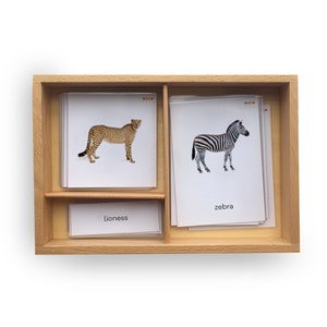 Carte continente AFRICA, materiale Montessori zoologia, Flashcard animali selvatici, animali africani, carte per bambini, immagini reali carte montessori