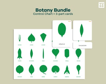 Montessori Leaf shapes control chart, Montessori Botany cabinet Cards, Nature study unit, Leaf shapes chart, Botany cabinet nomenclature