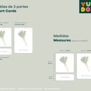 May include: Three-part cards for learning about plants. The cards feature a green leek with the Portuguese word "alho-frances" (meaning "French garlic") written on the label card. The cards measure 3.5 inches by 4.7 inches.