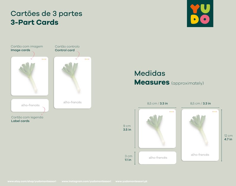 May include: Three-part cards for learning about plants. The cards feature a green leek with the Portuguese word "alho-frances" (meaning "French garlic") written on the label card. The cards measure 3.5 inches by 4.7 inches.
