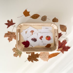 AUTUMN vocabulary. FALL elements. Montessori 3 part cards. Montessori Educational material. Brazilian Portuguese. nomenclature flash cards