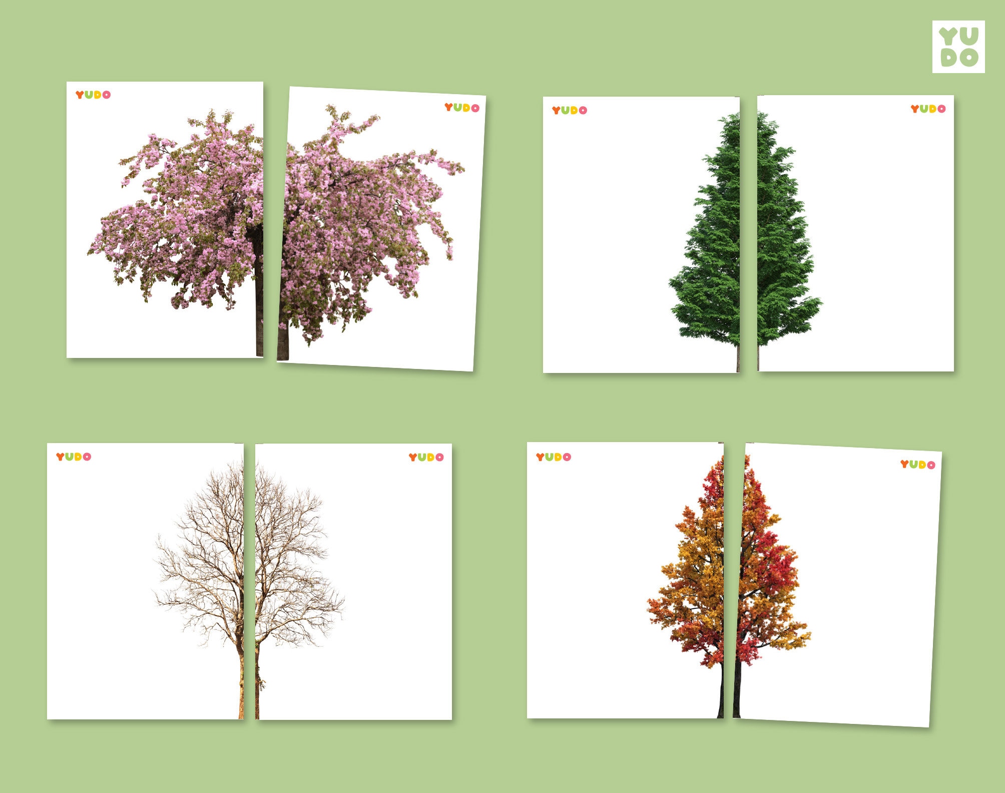 Tree Symmetry Matching Card Activity for Kids, Botanic Symmetry Puzzle ...