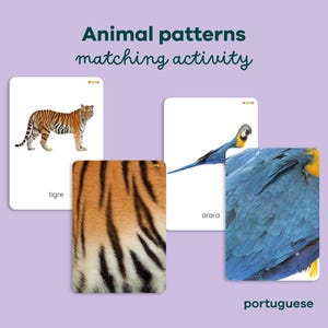 Animal Pattern Matching Printable Cards for Kids, Zoo Animals Details Matching, Animals Skin Matching Cards, Montessori zoology study