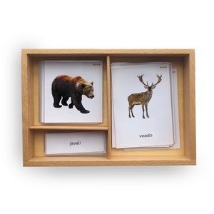 12 FOREST ANIMALS cards with real pictures, Montessori curriculum, Prek resources, kindergarten tools, woodland flashcards for toddlers