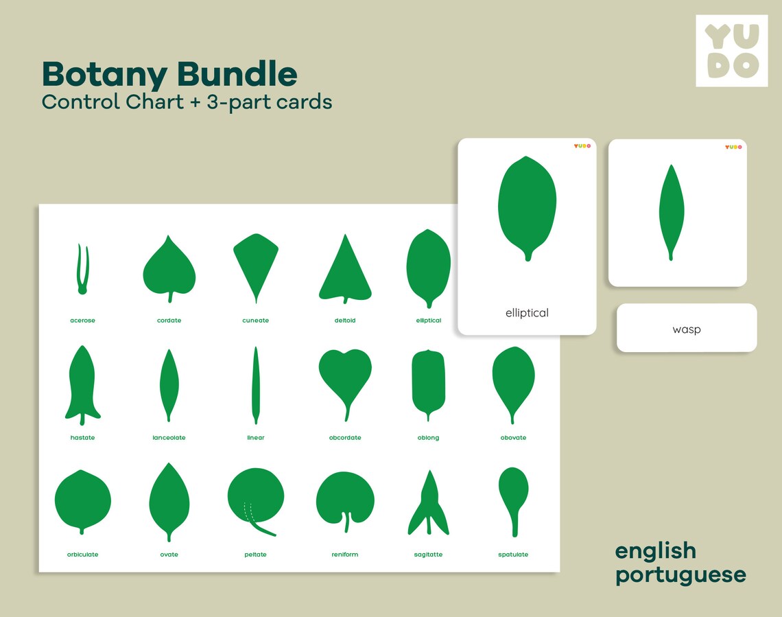 Botany Cabinet Control Chart and Cards Botany BUNDLE Leaf - Etsy