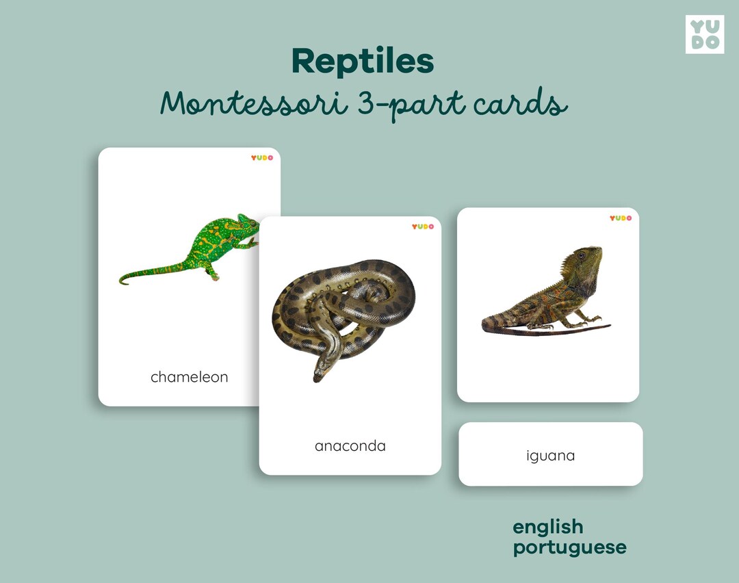 Reptiles Montessori 3 Part Nomenclature Animal Classification Printable ...
