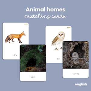 Animals And Their Homes flash cards, 28 Montessori Animal Homes Matching Cards for Toddlers, Animal Habitat 3 part cards, Montessori zoology